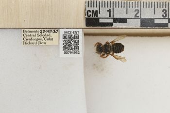 Media type: image;   Entomology 794932 Aspect: Labels